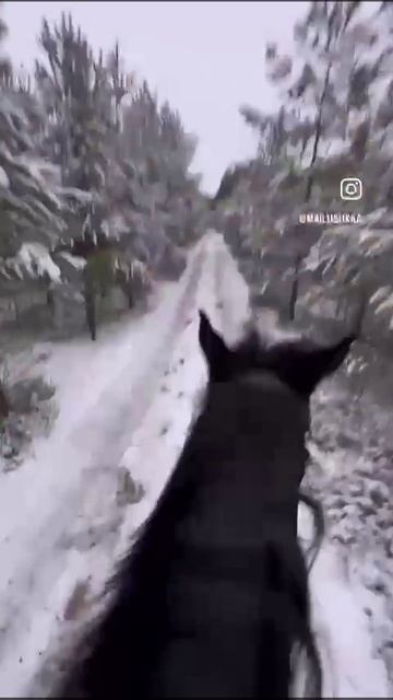 Красота от ученика Horse Familу