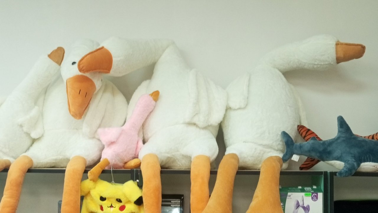 Гуси-обнимуси