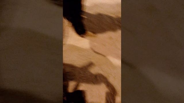 1000002514.mp4
