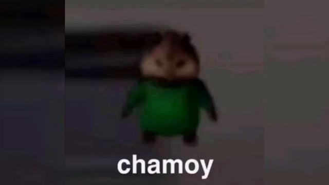 chamoy meme