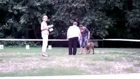 Samuray & Manfreda 4.8.2012.wmv