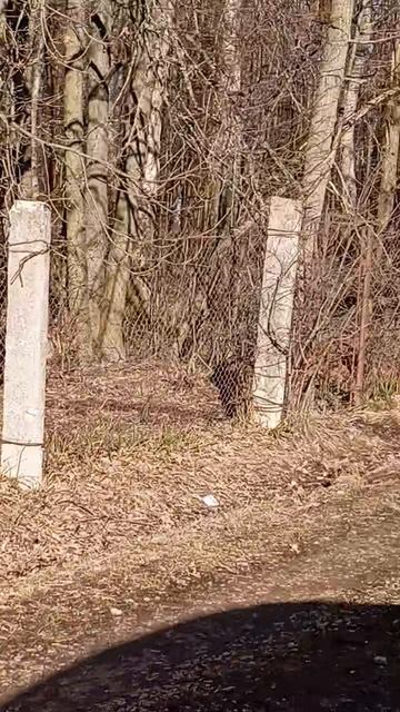 Снт полянка