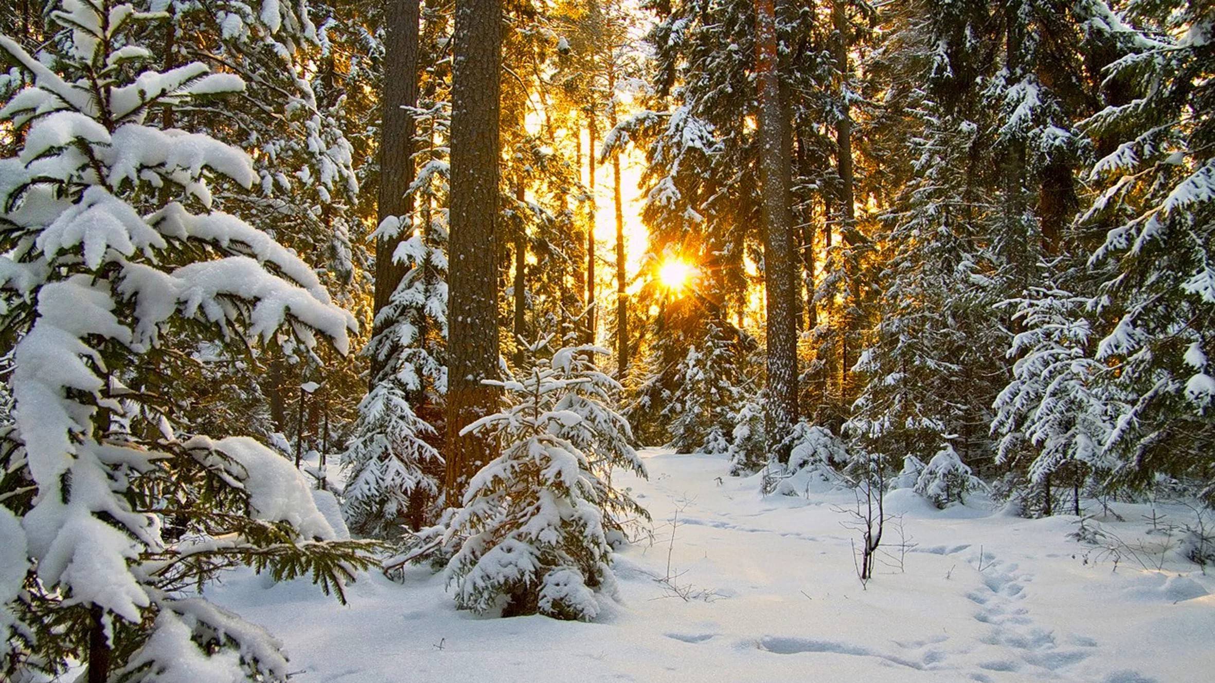 Лабаз.Солонец. 2025