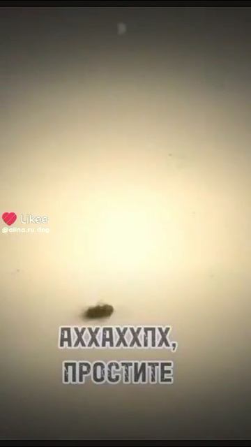 1000018862.mp4
