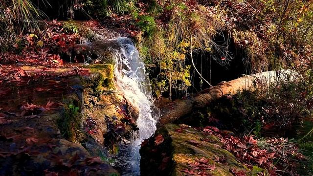 Стремительный водопад на лесном ручье. Природные моменты.