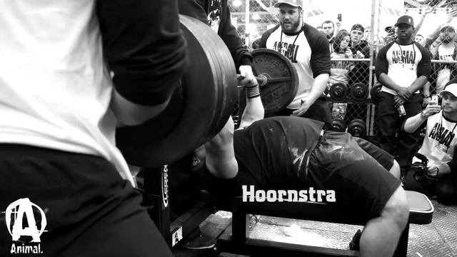 BOSS OF BOSSES II Powerlifting Meet August 29-30, 2015 (Mountain View, CA)