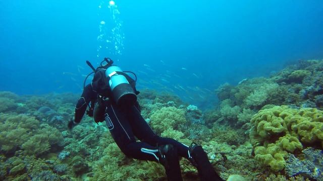 4k Diving in Okinawa, Japan (Sunabe Sea Wall)