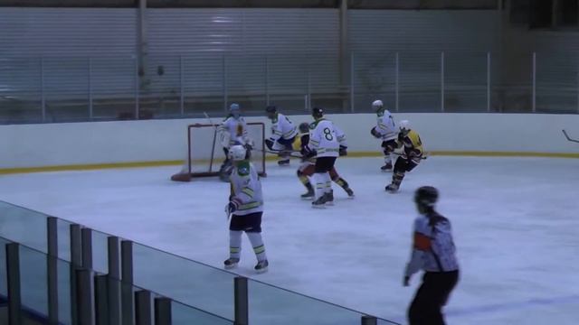 Титан-Ночные мамонты 2:9  04.03.17г.