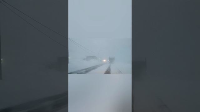 В благодаренье красота и сила... (стихотворение)