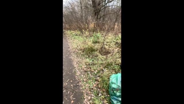 Подмосковные забавы #309 Конец сезона 2024