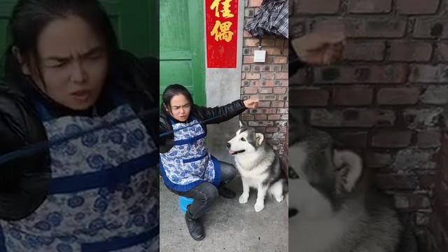 Смех с питомцами - Эпизод 17