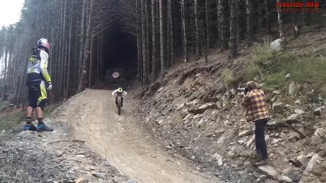 Downhill MTB Red Bull Hardline 2015