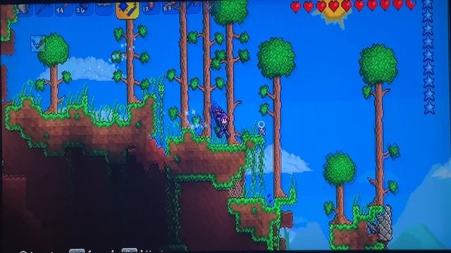 Прохождение игры TERRARIA #1