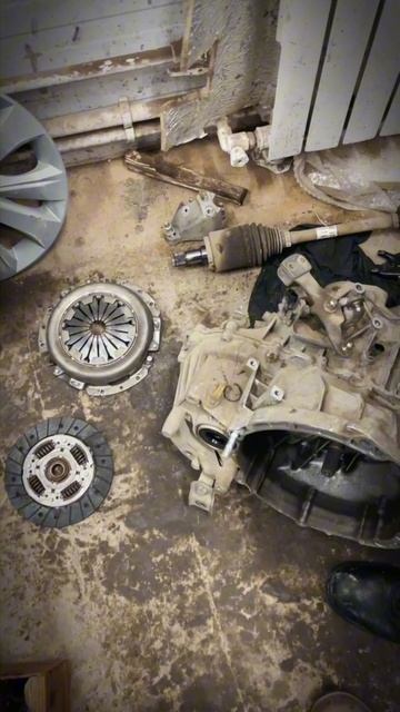 Качественное проведение судебной экспертизы - залог успеха в споре с автодилером в суде