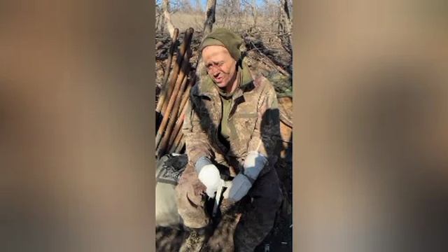 в плен был взят данный персонаж.
