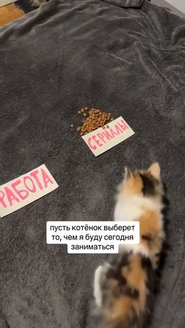 🤣
