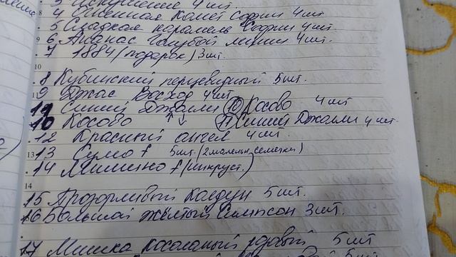 сею томаты для теплицы..