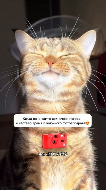 Kodak M35 многоразовый плёночный фотоаппарат, красный WB 41017479 ❤️