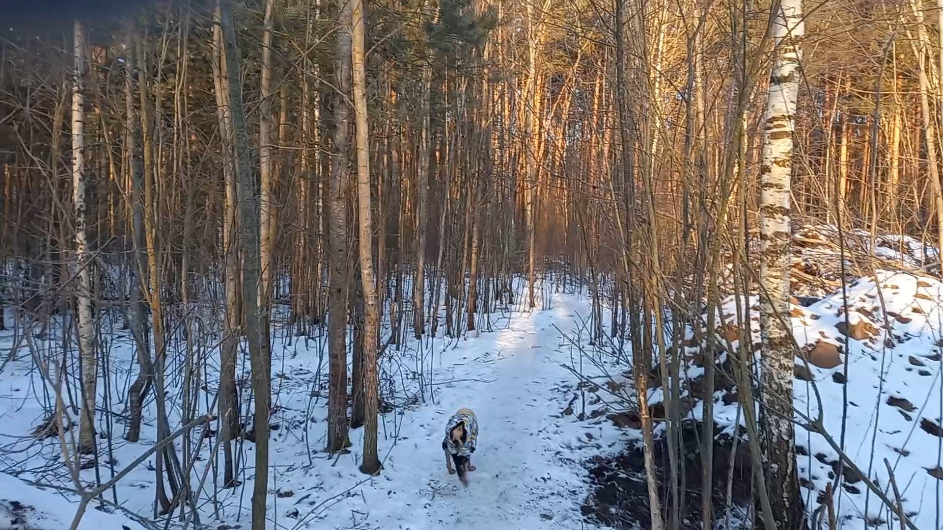 Прогулки со смыслом