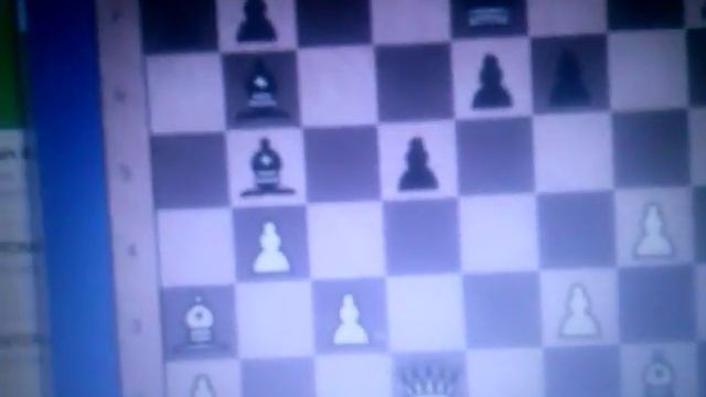 Шахматы гамблер