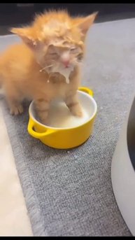 ОЧЕНЬ ВКУСНО