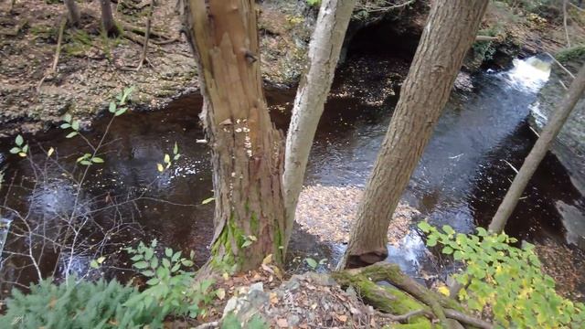 Raymondskill Falls | Delaware Water Gap | The Tallest Falls in Pennsylvania | 90 min away from NYC