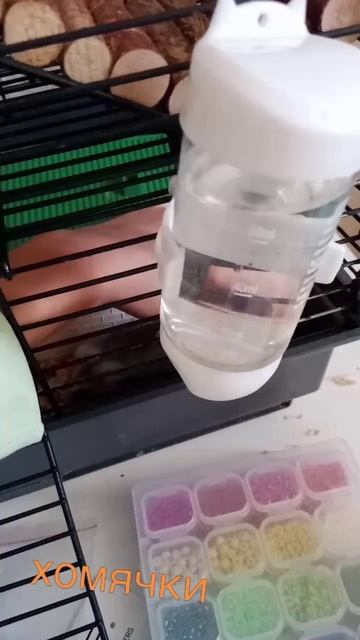 scene_output.mp4