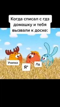 Когда списал с гдз