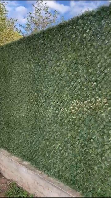 Забор из калифорнийской изгороди