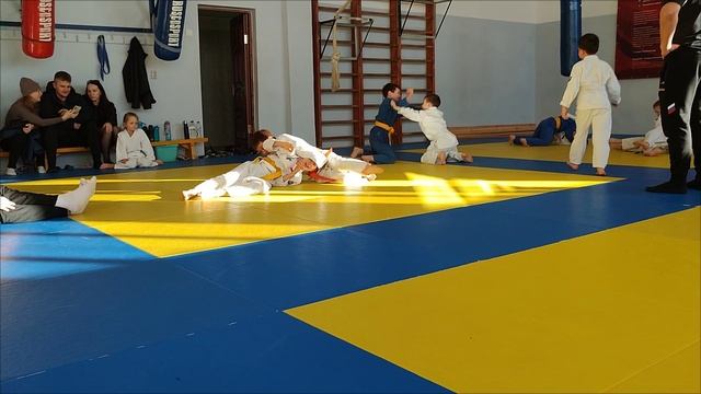 Дзюдо