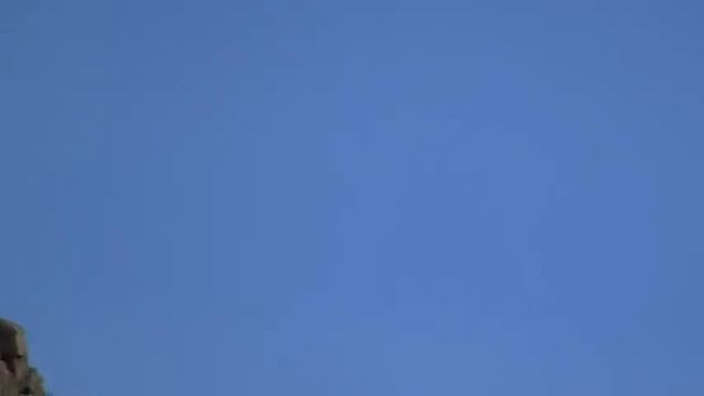 Gyrfalcon nest in northwest Greenland