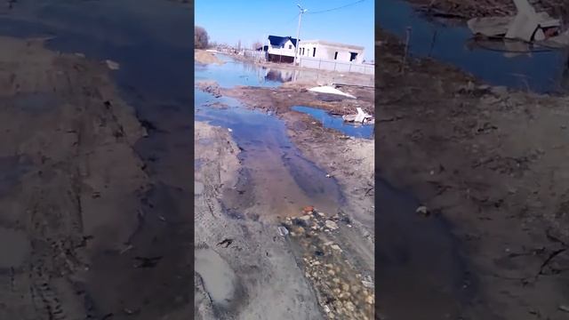 Новая Усмань затоплена, будем выращивать рис))