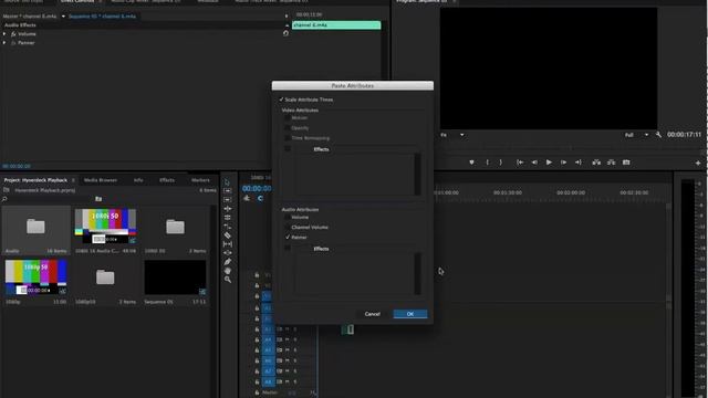 Adobe Premiere Multichannel Setup For Blackmagic Design Hyperdeck