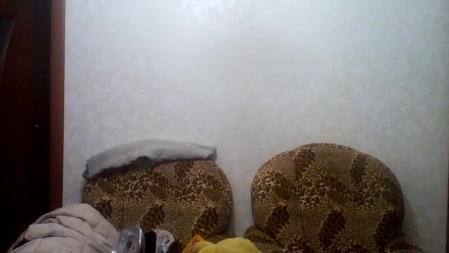 Сумо челендж