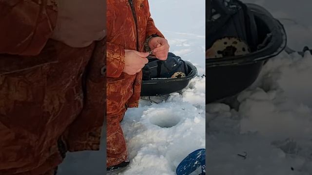 Рыбалка на Картомарское Водохранилище.Ловля окуней !!!!