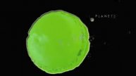 macarons planets by lobha