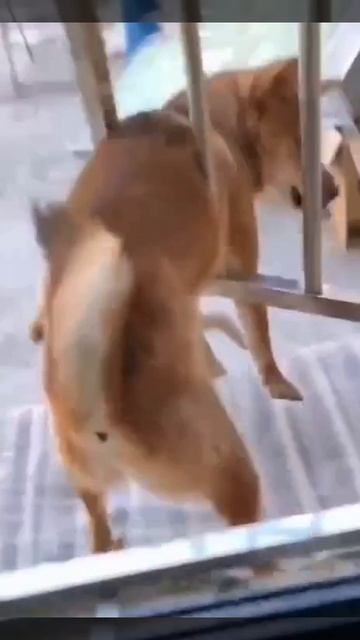 оопсс