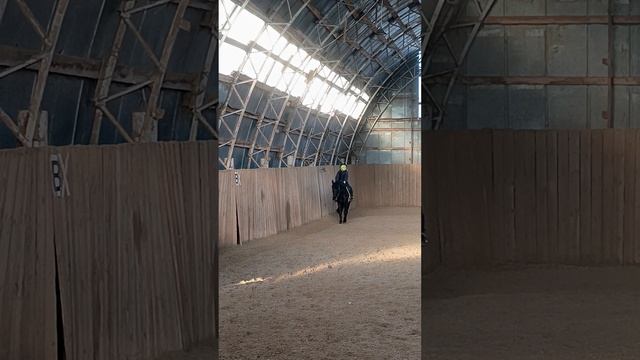 Лера на Наоми, проезд схемы обязательная программа №2 (ОСФ) тест А. #horse, #equestrian, #лошади