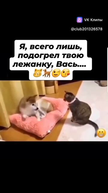 Без слов, одним взглядом! Вот что значит сила мысли! 🤣🤣🤣