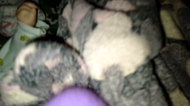 1000015891.mp4