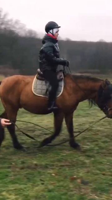 Детский лагерь Talking horse (верховая езда) на childcamp.com.ua