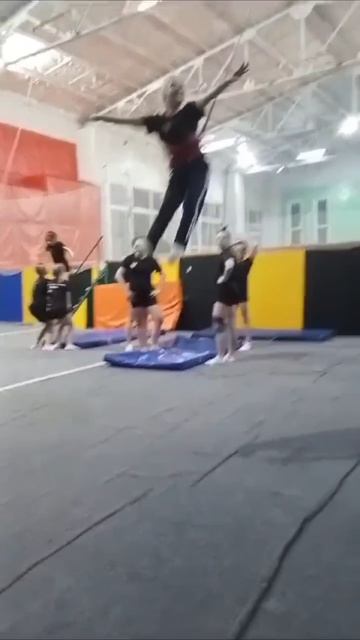 #ледибаг
