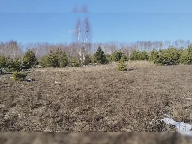 Весна "бурлит"