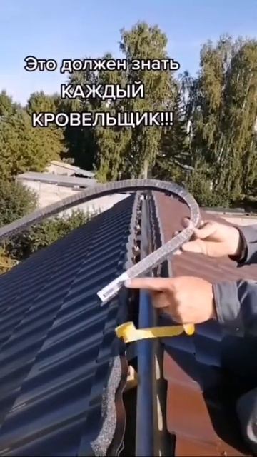 Правильная установка конька #shorts