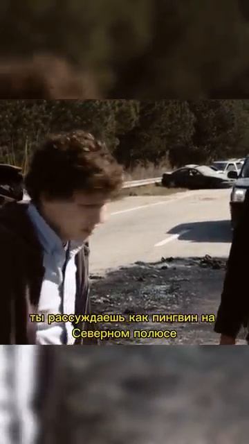 На Северном полюсе нет пингвинов #кино #сериалы #фильм #shorts