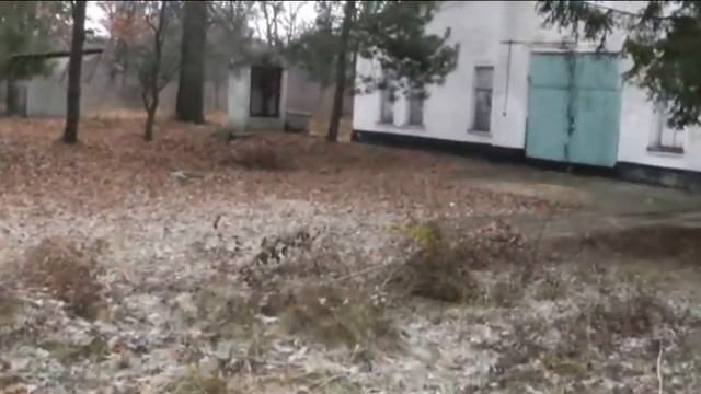 Лори_Жеребково_лес 24 11 2017