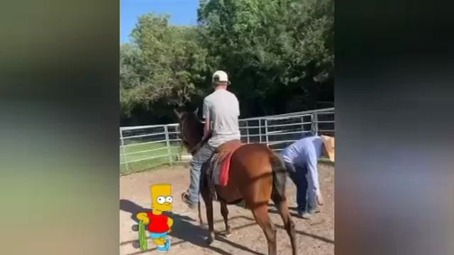 приколы