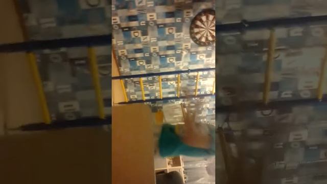 Рекорд по митанию дротиков