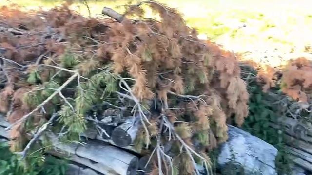 VID_20220720_202728_220.mp4