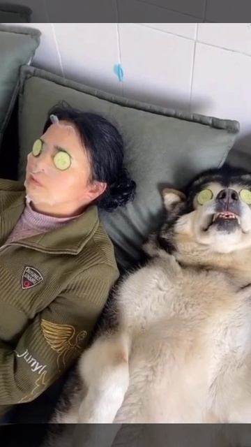 🤣
